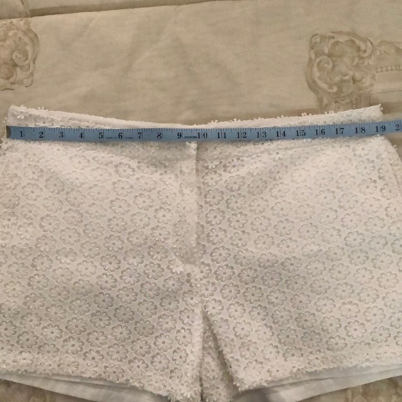 Plus sized fully Lined lace short - Picture 6 of 8